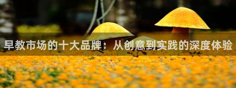 威九国际v96bet下载:早教市场的十大品牌:从创意到实践的深度体验