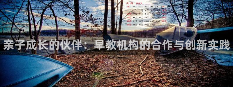 威九国际坑人的嘛:亲子成长的伙伴:早教机构的合作与创新实践
