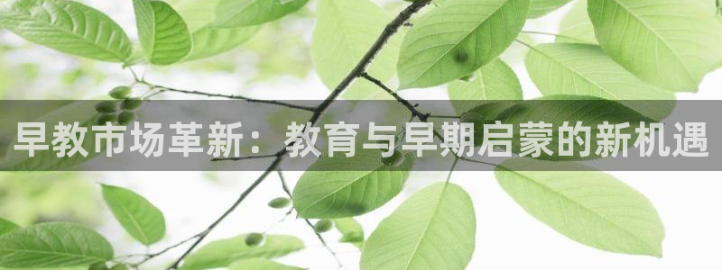 威九国际ppt免费:早教市场革新:教育与早期启蒙的新机遇