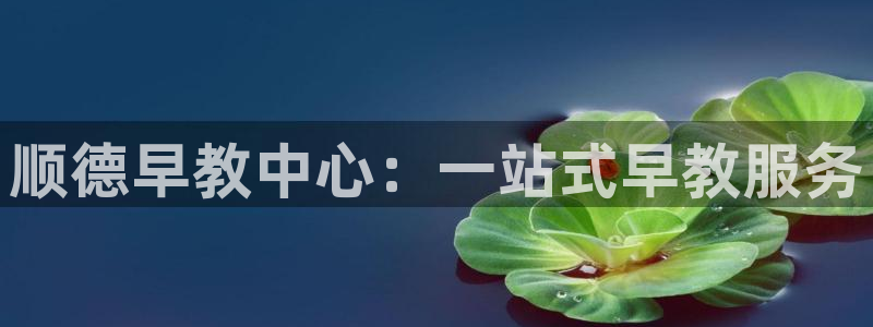 威九国际网站入口官网首页登录:顺德早教中心:一站式早教服务