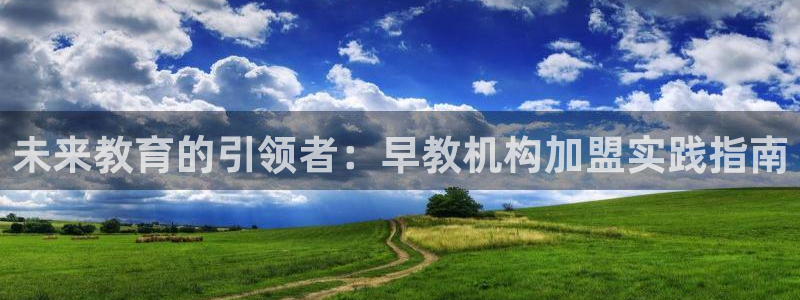 威九国际网站更新了吗:未来教育的引领者:早教机构加盟实践指南