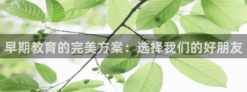 威九国际动漫：早期教育的完美方案：选择我们的好朋友