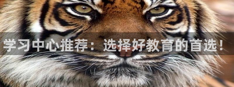 威九国际网站人入口：学习中心推荐：选择好教育的首选！