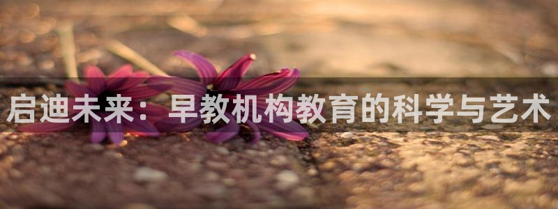 威九国际vA9618：启迪未来：早教机构教育的科学与艺术