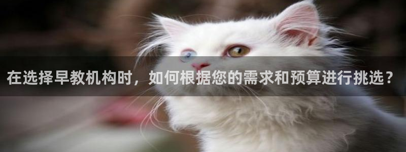 威九国际软件公司简介：在选择早教机构时，如何根据您的需求和预算进行挑选？