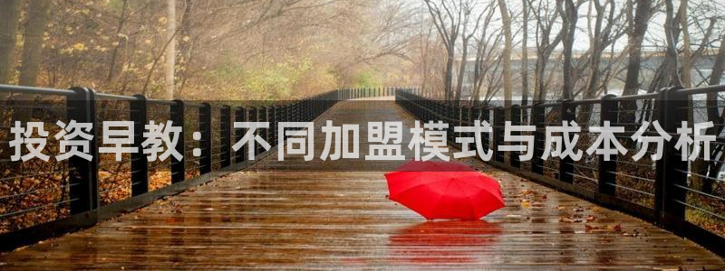 威九国际在哪里：投资早教：不同加盟模式与成本分析