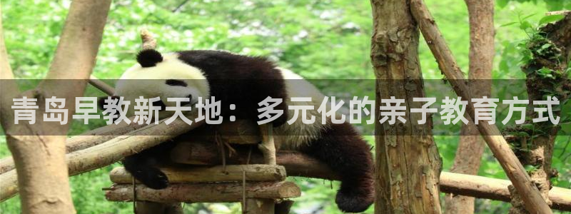 威九国际网站进入客服中心:青岛早教新天地:多元化的亲子教育方式