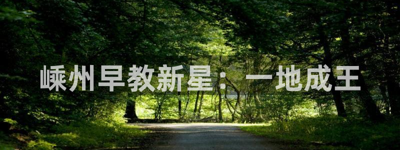 威九国际全国空降:嵊州早教新星:一地成王