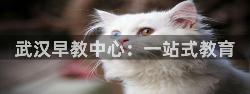 78mapp威九国际网页版:武汉早教中心:一站式教育