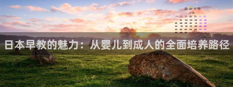 威九国际游戏:日本早教的魅力:从婴儿到成人的全面培养路径