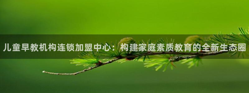 威九国际软件：儿童早教机构连锁加盟中心：构建家庭素质教育的全新生态圈