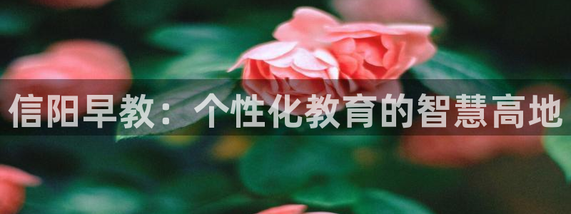 威九国际66cm：信阳早教：个性化教育的智慧高地