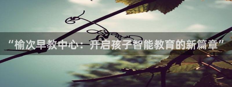 威九国际网站传媒招聘：“榆次早教中心：开启孩子智能教育的新篇章”