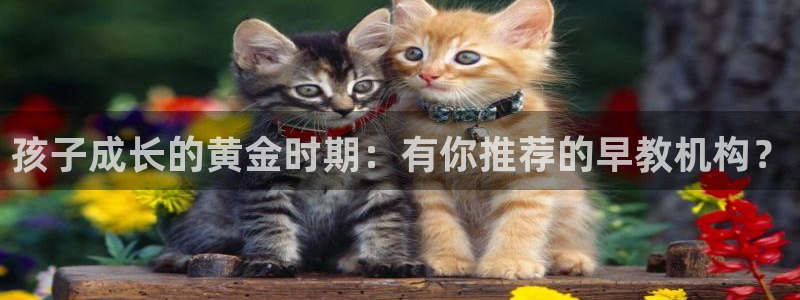 威九国际游戏app(网站)：孩子成长的黄金时期：有你推荐的早教机构？