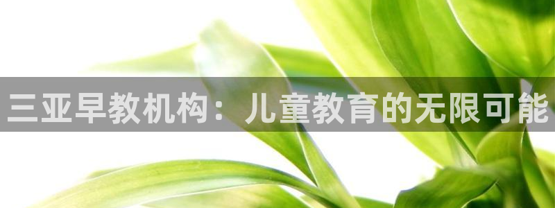 威九国际留学：三亚早教机构：儿童教育的无限可能