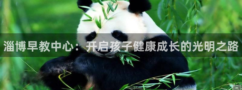 威九国际66m66模式视频：淄博早教中心：开启孩子健康成长的光明之路