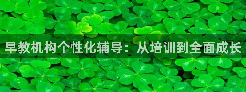 威九国际v96BET：早教机构个性化辅导：从培训到全面成长