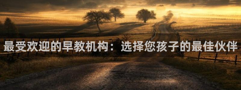 威九国际v9：最受欢迎的早教机构：选择您孩子的最佳伙伴