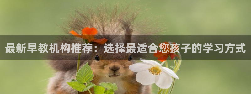 威九国际78mann：最新早教机构推荐：选择最适合您孩子的学习方式