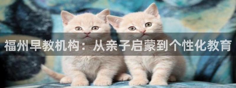 威九国际APP下载：福州早教机构：从亲子启蒙到个性化教育