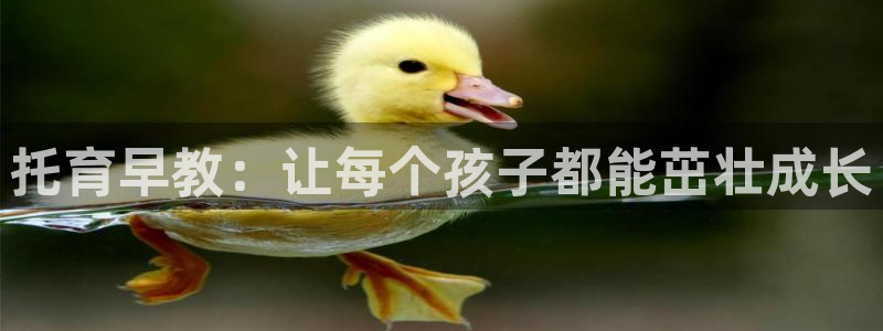 威九国际小说：托育早教：让每个孩子都能茁壮成长