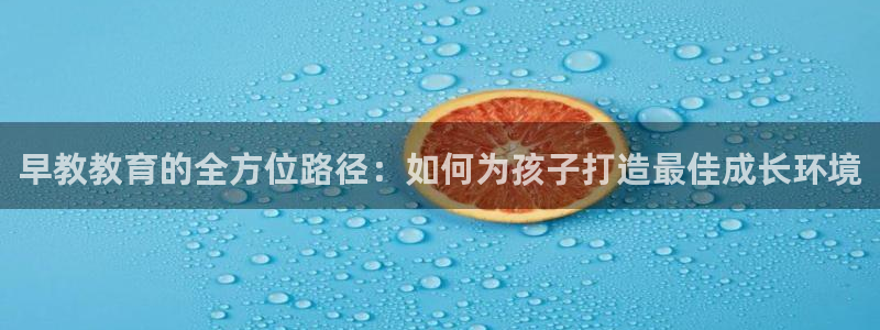 威九国际官网在线进入网站查询：早教教育的全方位路径：如何为孩子打造最佳成长环境