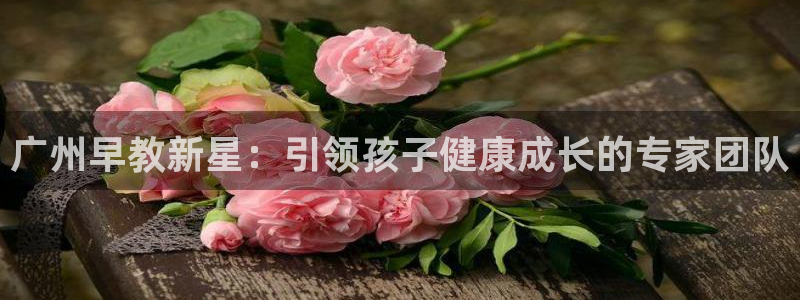 保定威九网络科技有限公司怎么样:广州早教新星:引领孩子健康成长的专家团队