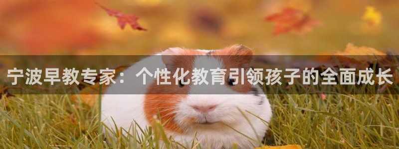 威九国际电子有限公司:宁波早教专家:个性化教育引领孩子的全面成长