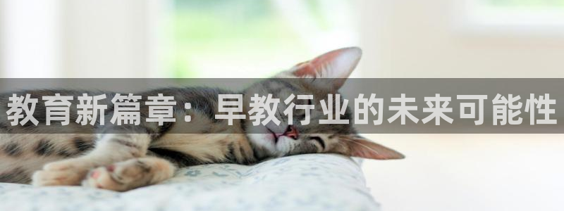 威九国际78mb:教育新篇章:早教行业的未来可能性