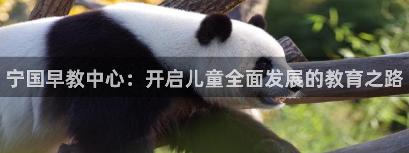 威九国际游戏app(网站)：宁国早教中心：开启儿童全面发展的教育之路