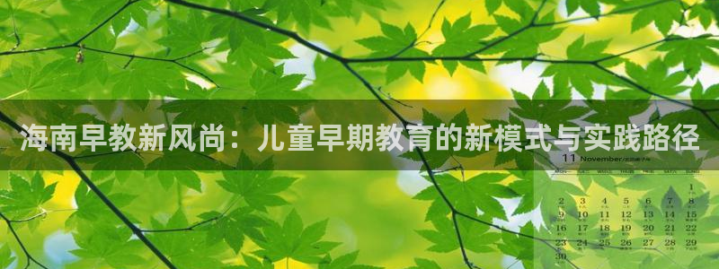 威九国际地址:海南早教新风尚:儿童早期教育的新模式与实践路径