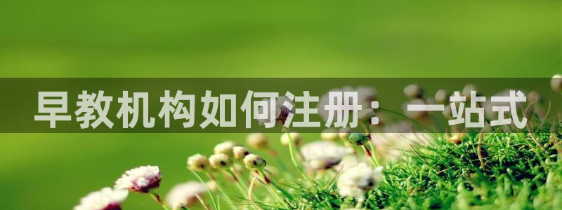 威九国际女演员好漂亮:早教机构如何注册:一站式