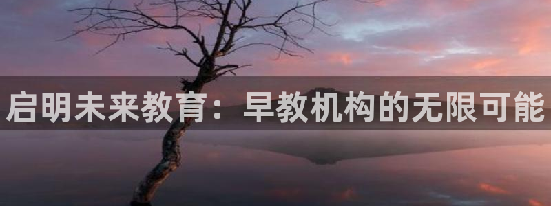 威九国际可以提现吗是真的吗:启明未来教育:早教机构的无限可能