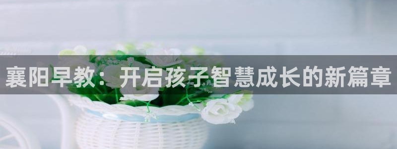 威九国际娜娜：襄阳早教：开启孩子智慧成长的新篇章