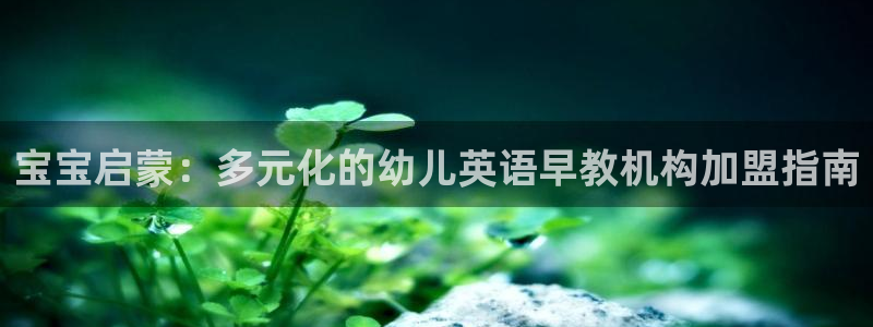 威九国际旗下艺人都有谁：宝宝启蒙：多元化的幼儿英语早教机构加盟指南