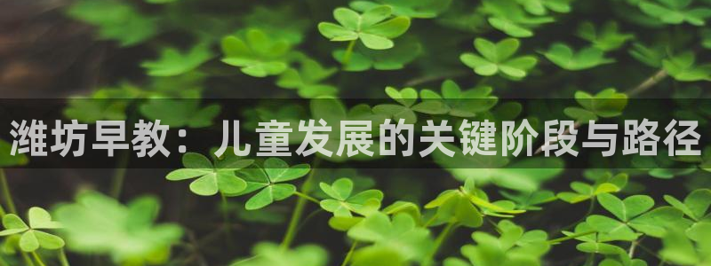 威九国际78m九妹：潍坊早教：儿童发展的关键阶段与路径