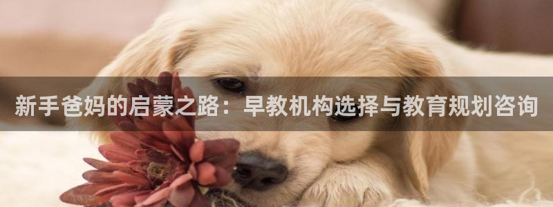 威九国际78m：新手爸妈的启蒙之路：早教机构选择与教育规划咨询