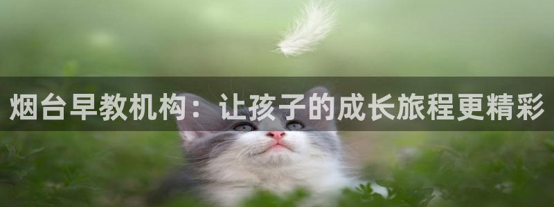 威九国际成长模式：烟台早教机构：让孩子的成长旅程更精彩
