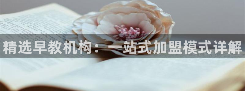 威九国际演员名单:精选早教机构:一站式加盟模式详解