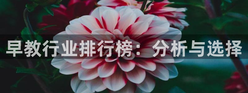 威九国际网站在哪里：早教行业排行榜：分析与选择