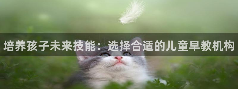 威九国际娜娜：培养孩子未来技能：选择合适的儿童早教机构