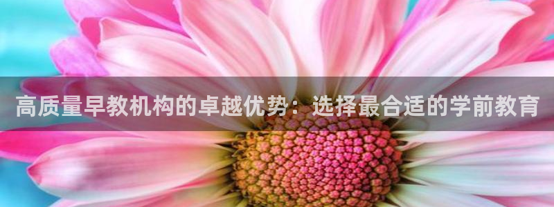 威九国际cm78：高质量早教机构的卓越优势：选择最合适的学前教育
