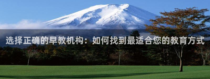 威九国际坑人的嘛：选择正确的早教机构：如何找到最适合您的教育方式