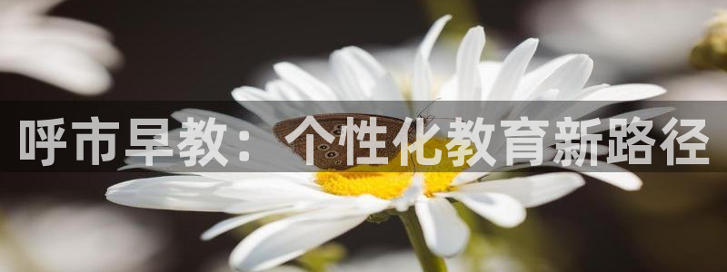 78mapp威九国际媒体央视：呼市早教：个性化教育新路径